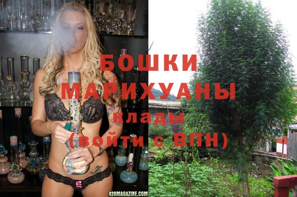 spice Аркадак