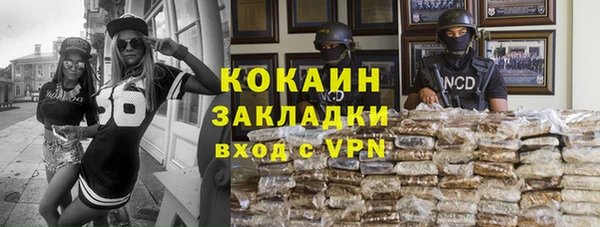 прущие грибы Армянск
