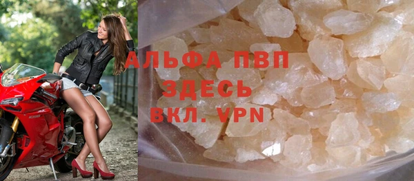 прущие грибы Армянск