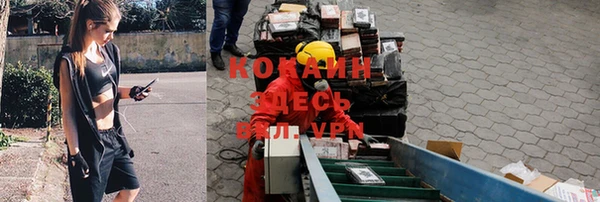 spice Аркадак