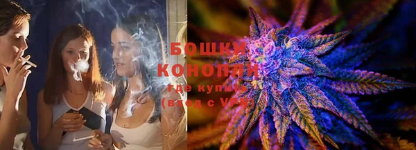 прущие грибы Армянск