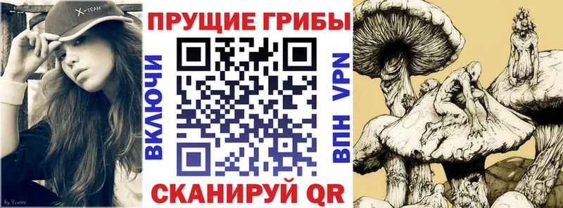 Псилоцибиновые грибы мухоморы Бокситогорск